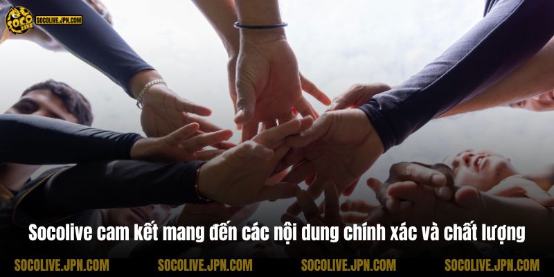 Socolive cam kết mang đến các nội dung chính xác và chất lượng